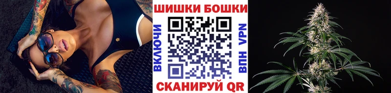 Конопля сатива  Малаховка 
